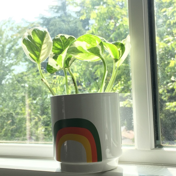 Meet your Posher, Amaris - Picture 1 of 1